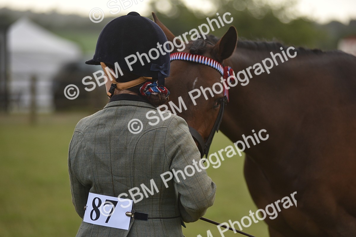SBM_10661 - Class 109 - Retraining of Racehorses in Hand