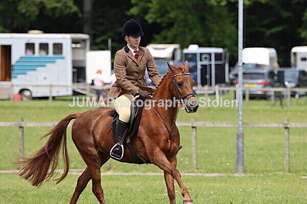 IMG_2967 - Working Hunter