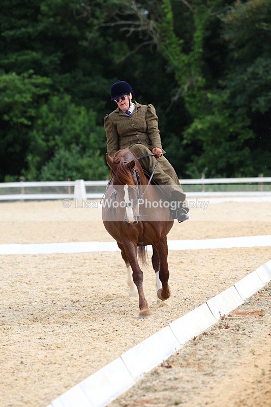 3E7A1610 - Class 2: Intro 2 2024 Section B