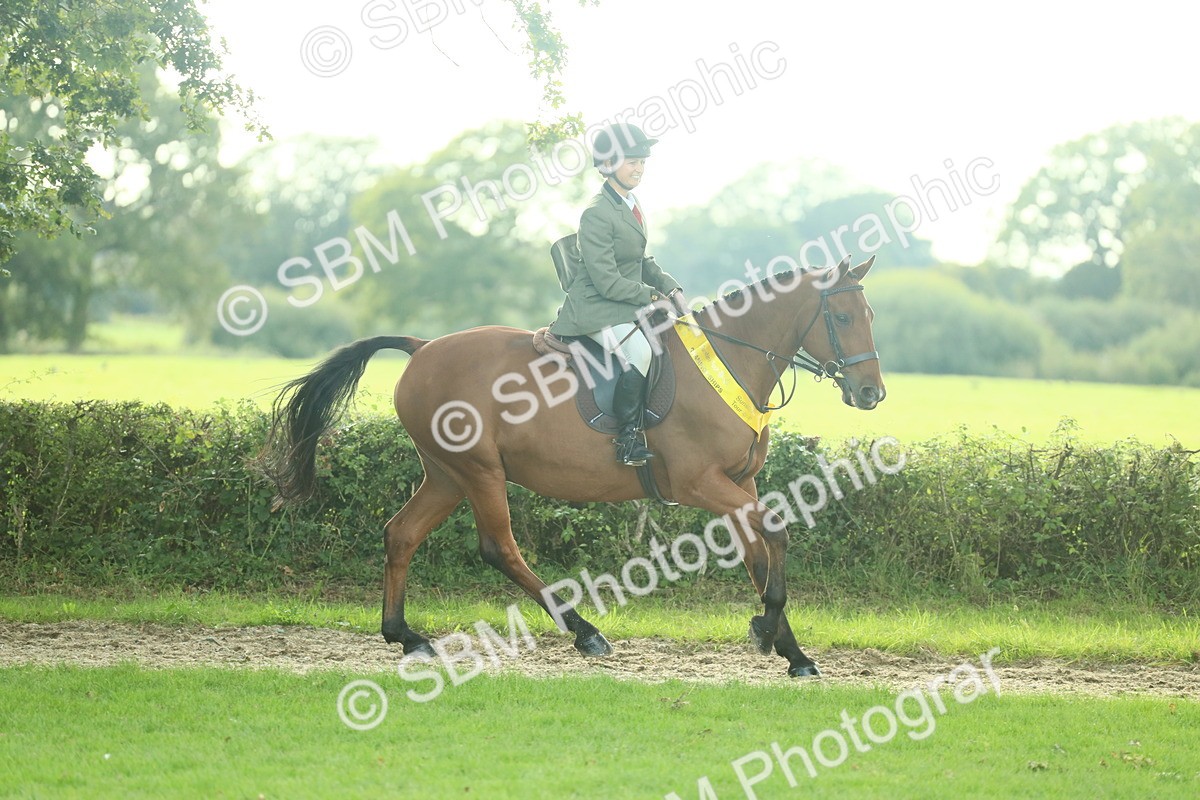 SBM_52253 - S33 - Working Hunter & Working Show Horse
