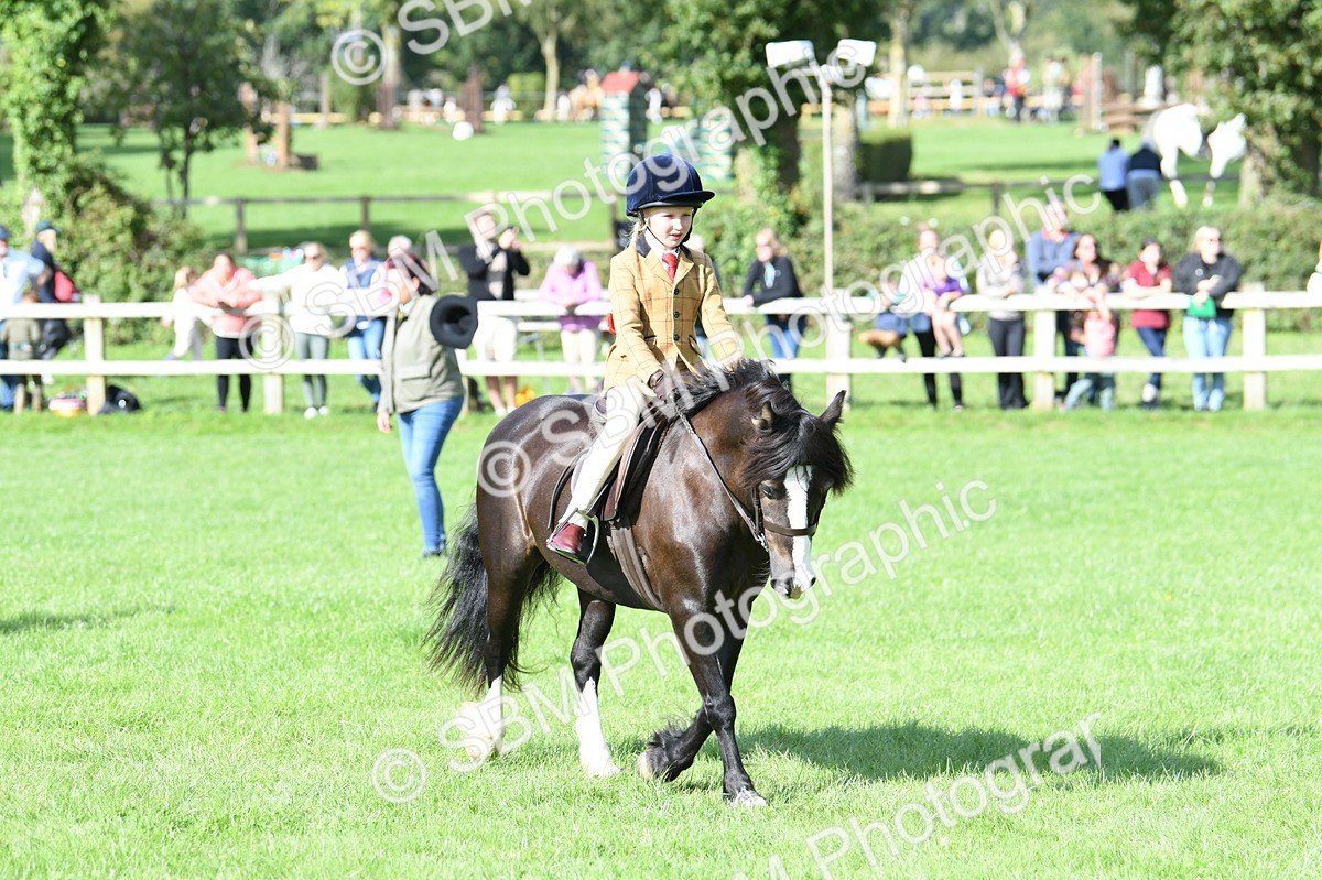 SBM_50284 - S21 - Novice & Newcomers 1st Ridden Pony