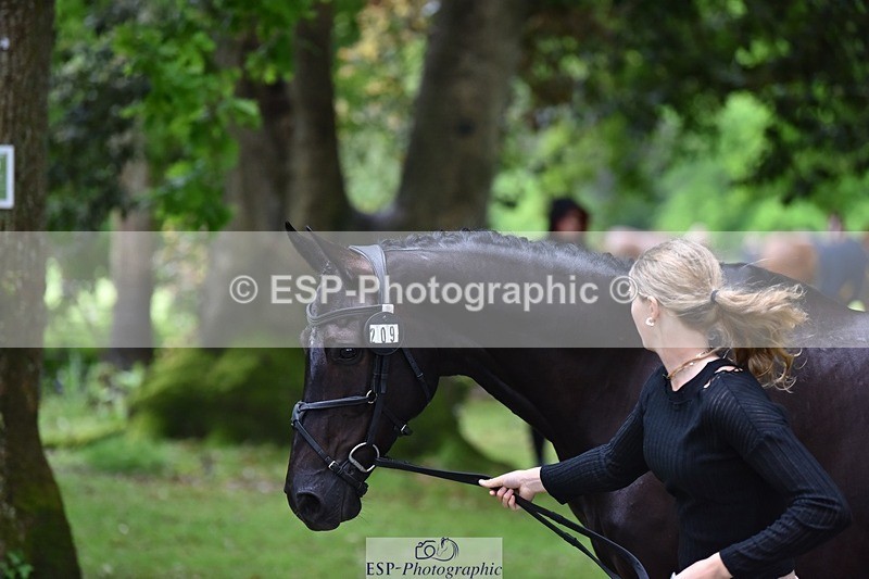 240522-163122-00974 - 209-COOLEY_DJANGO-Lottie_Royle