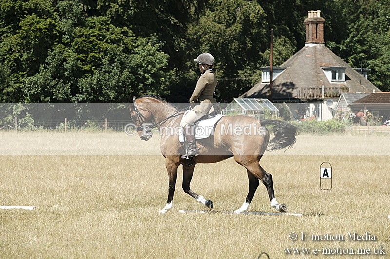 _PJP5939 - Dressage Classes BVRC Show 2018