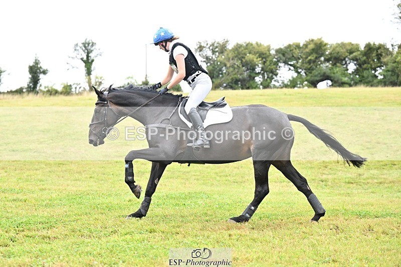 TS_b2208256 - SAT BE 90 Recovered Files fence 8