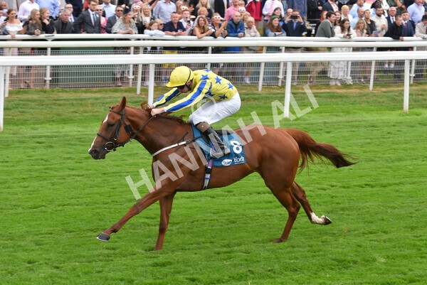 yr22072022r3-63 - Race 3 6.20pm Tomahawk Stakes