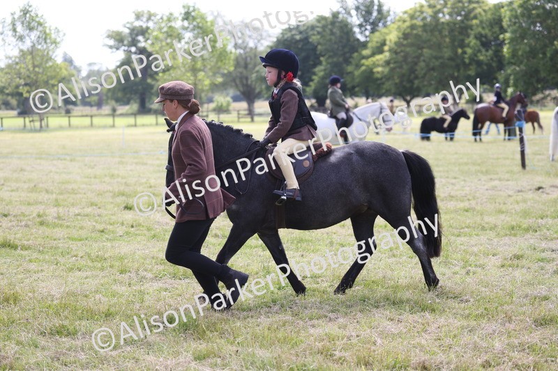 20260614-0598 - Class 20 - Beginners Working Hunter Pony