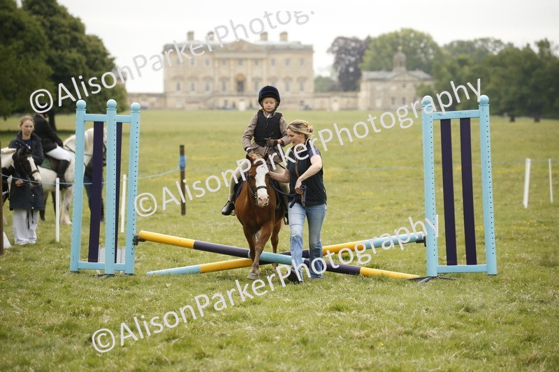 20250517-0310 - Class 1 - 30cm On Lead Rein