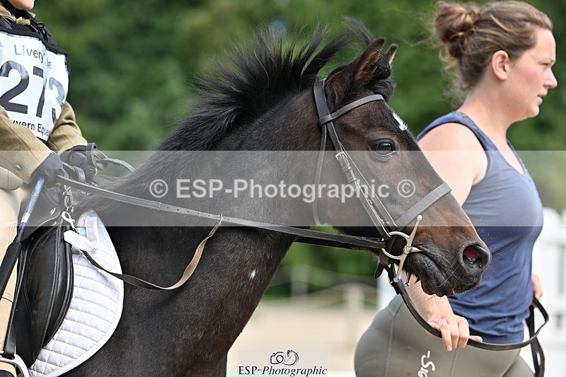 230824-142912-04266 - Round 1 Lead Rein 14.00 to End