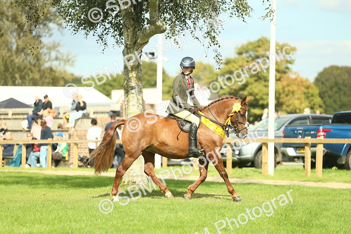 SBM_44909 - Working Hunter Pony Supreme Championship