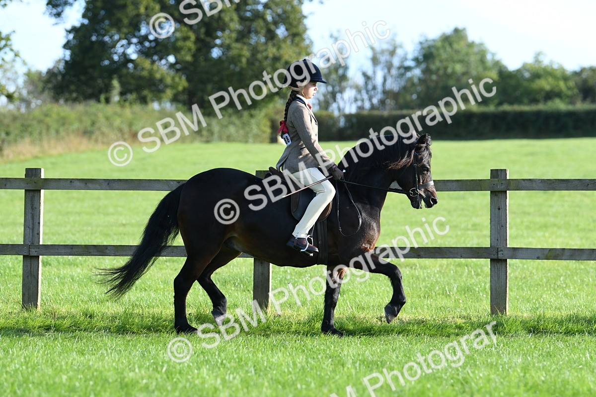 SBM_54003 - S23 - 1st Ridden Mountain & Moorland Pony