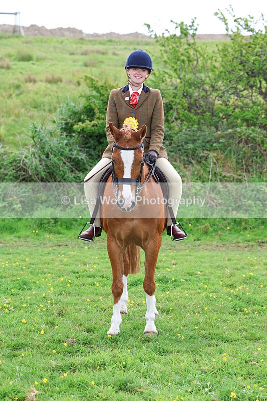 3E7A2056 - Class 10: Ridden Sports Horse