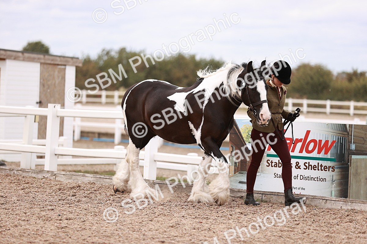 SBM_18472 - Class 420 - Ridden M&M