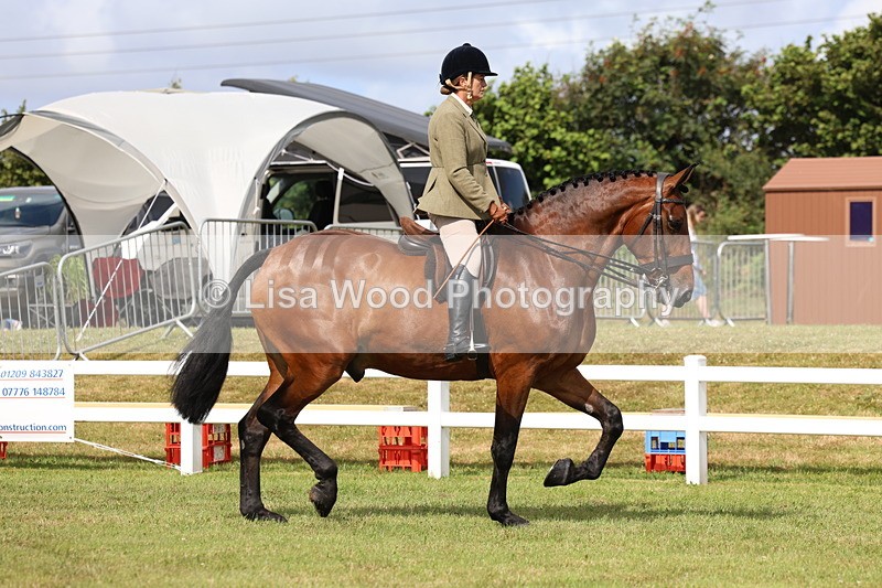 3E7A9273 - Class 4: Rising Star M/H Hunter