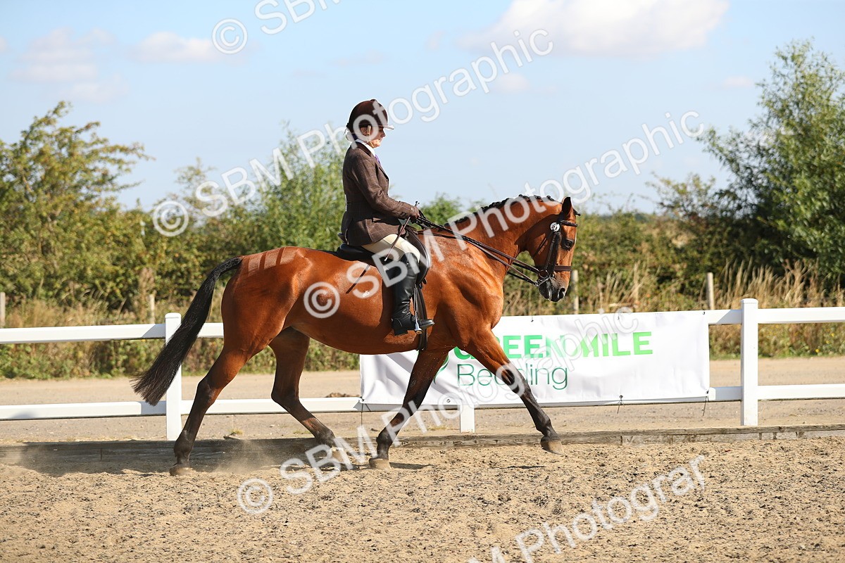 SBM_02201 - Class 43 Ridden Competition Horse/Pony