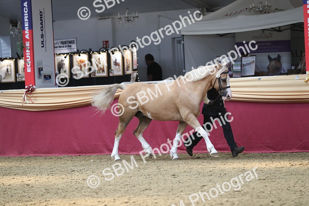 SBM_15235