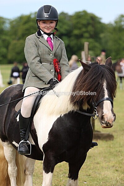 IMG_2418 - Working Hunter
