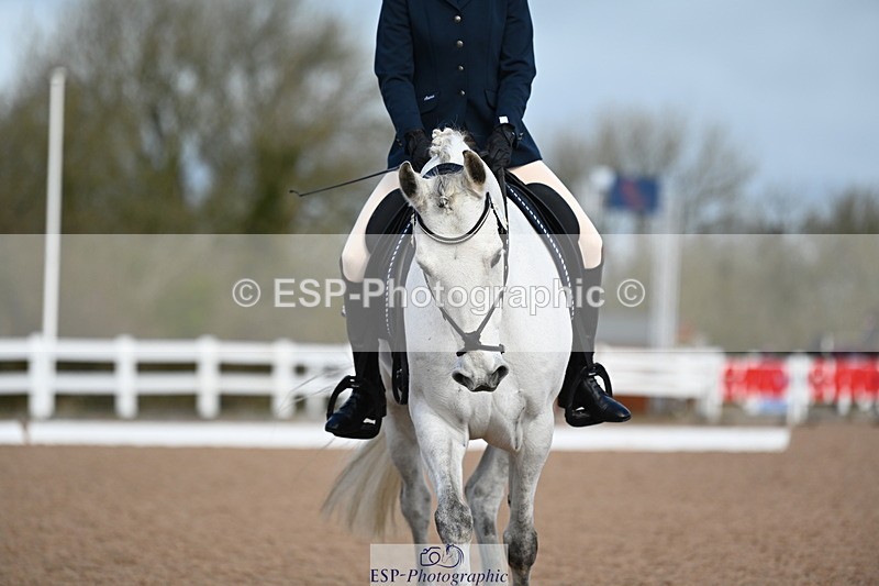 240323A-095118-01012 - MyQuest Prelim 12