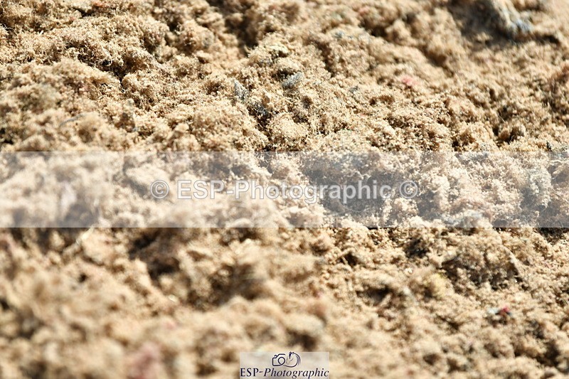 230723A-154250-13475 - Cls 36, 7 Yr Olds 1.30m