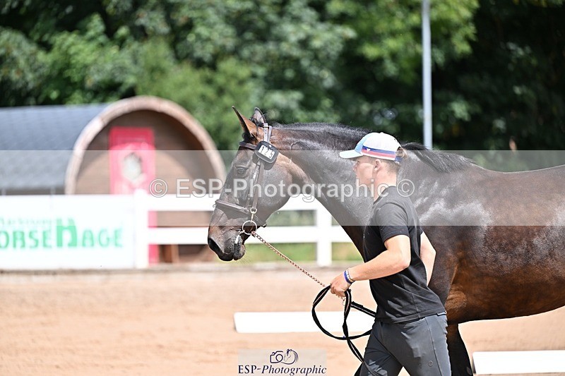 250716-125128-00207 - Trot Up 12.30 to 1.30