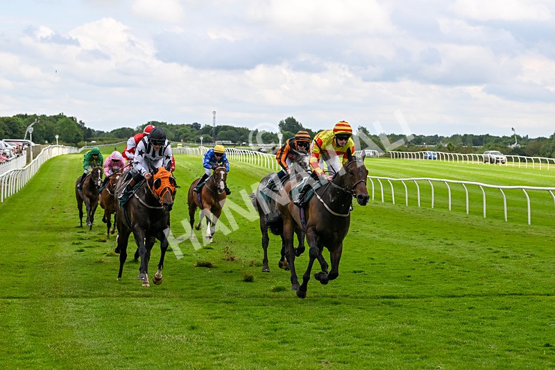 180624-Race 3-High Opinion-0314 - Race 3