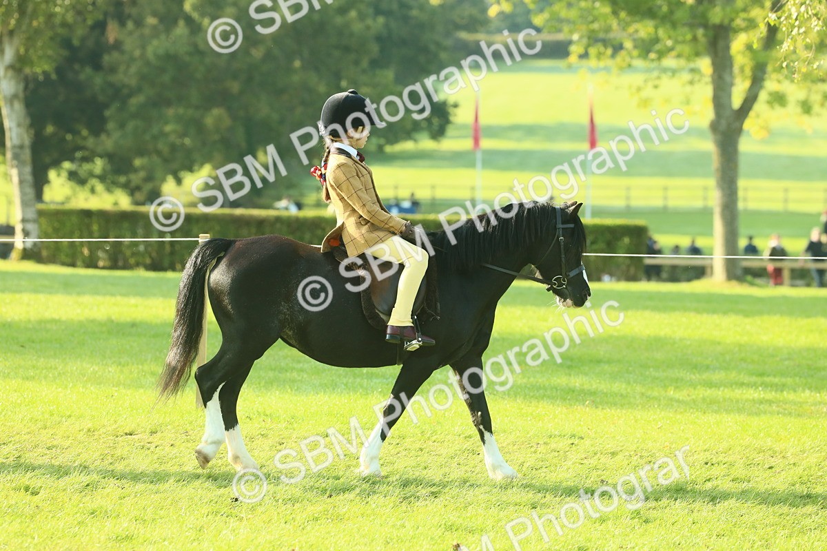 SBM_59119 - S38 - Starters Ridden Showing