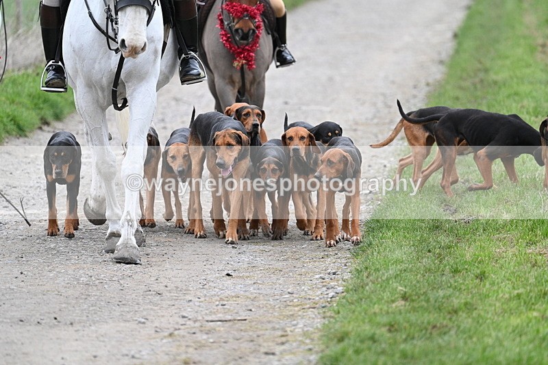 WJ7_1196 - Walk Home