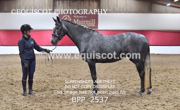 BPP_2537 - LOOSE JUMPING / SPSS