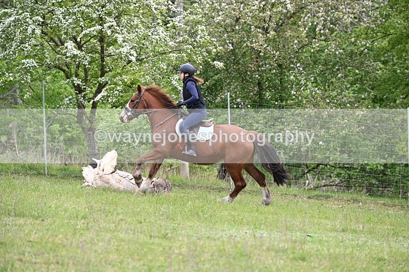 WJ6_1586 - Group 4 A&B Cameras