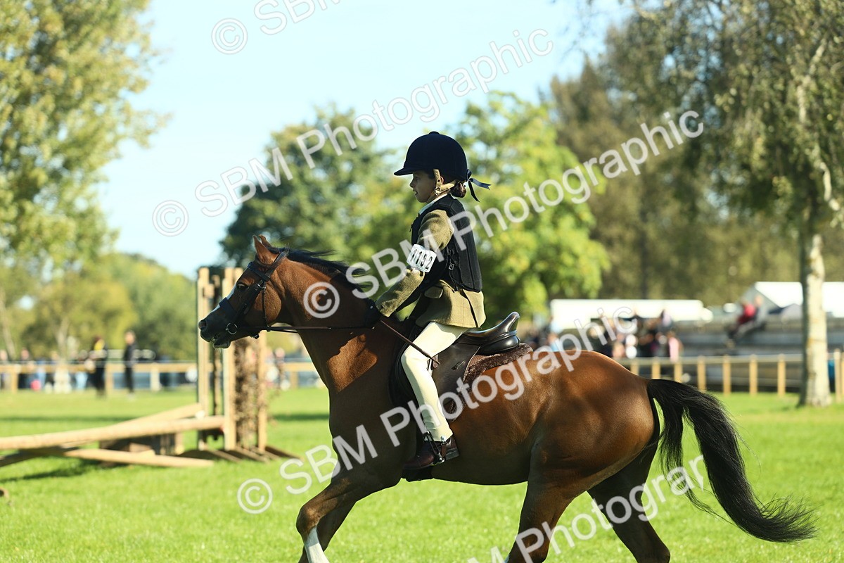 SBM_37426 - S29 - Novice & Newcomers Working Hunter Pony