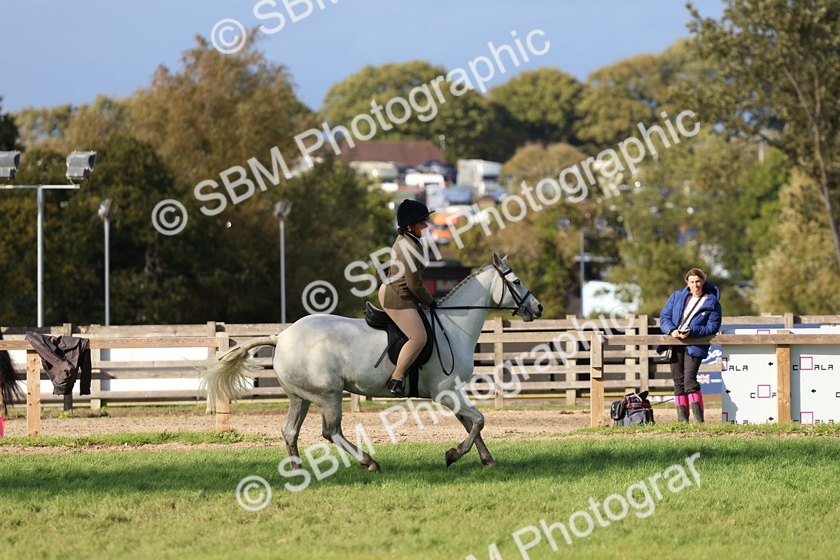 SBM_52514 - S13 - Pony Club Pony
