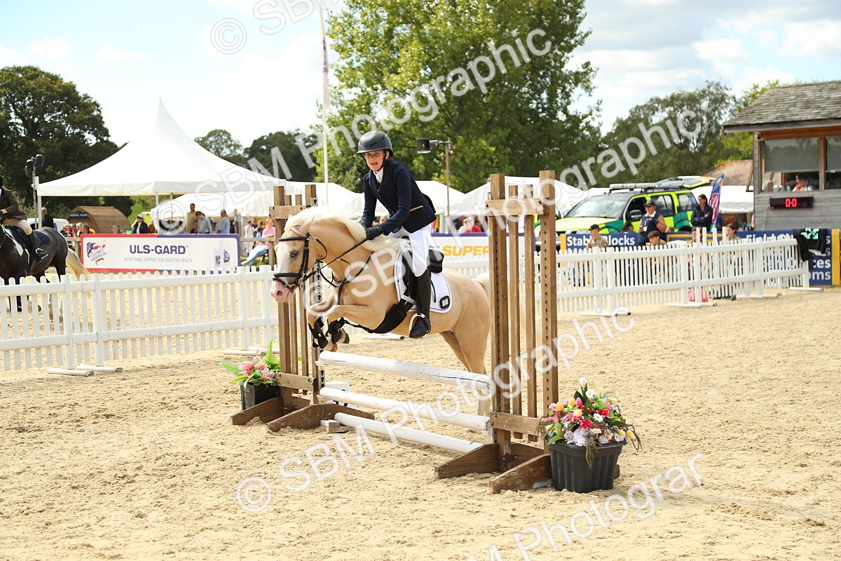 SBM_41437 - J6 - Junior Pony 55cm Championships
