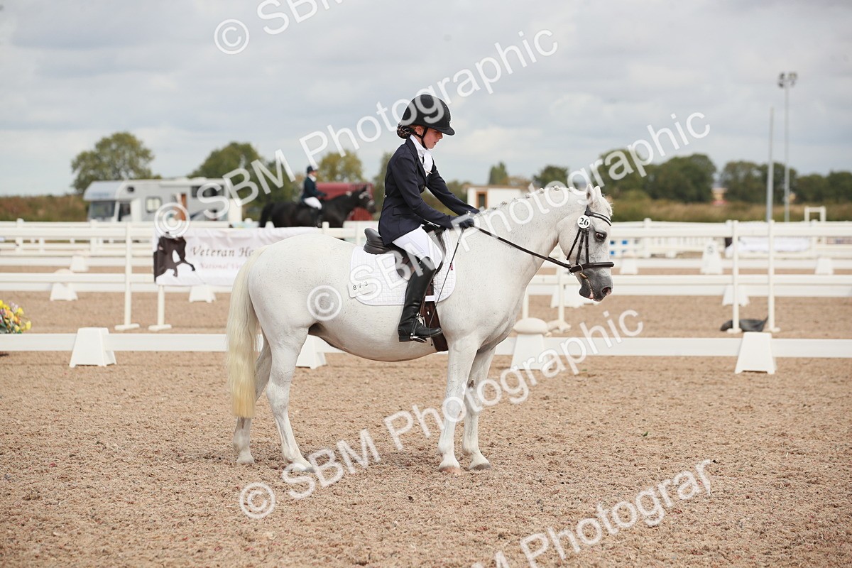 SBM_03993 - Class 31 - Prelim 1