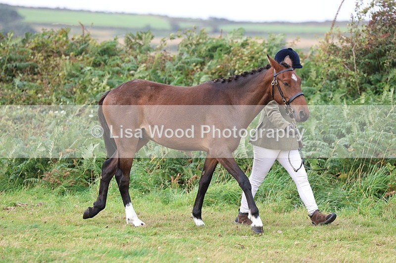 3E7A4035 - Class 15: Two Year Olds