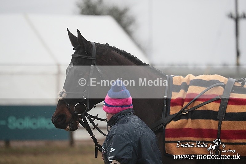 PtP 260125 653 - Cocklebarrow Point-to-Point racing with the Heythrop Hunt 26/01/25