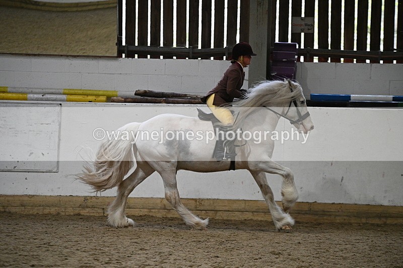 WJ7_3693 - Class 16 Ridden Coloured/ Odd Coloured