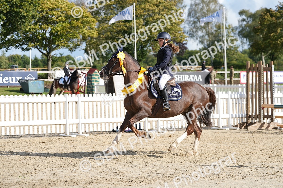 SBM_48644 - J7 - Junior Pony 60cm Championship