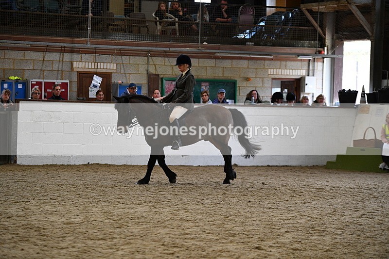 WJ5_6180 - Class 9 Ridden Veteran