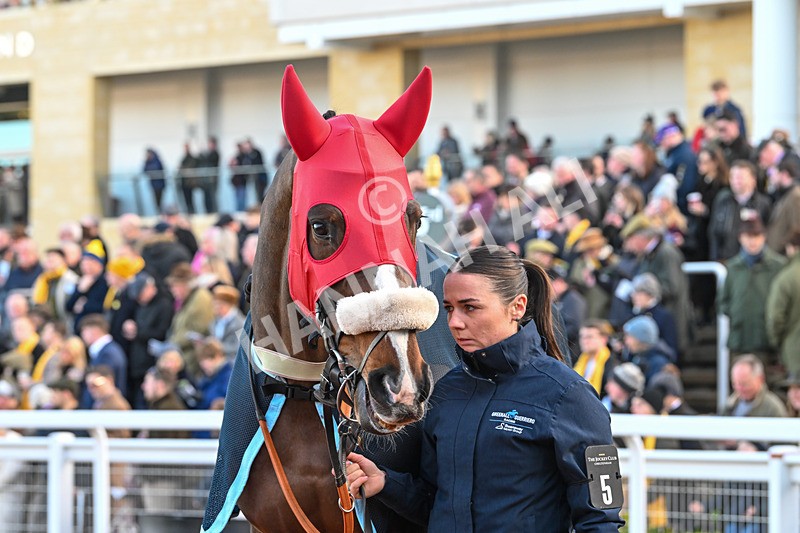 250125-Race 1-Jagwar-3825 - Race 1