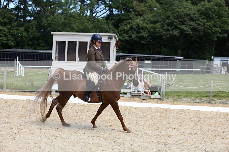 1X9A8345 - Class 13: Arab Ridden