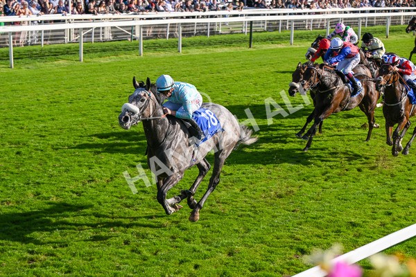 111025-Race 4-Binhareer-8839 - Race 4 Coral Sprint Trophy Handicap at York