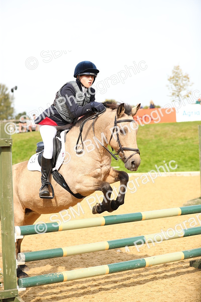 SBM_67262 - J17 - Junior Pony 80cm Championship