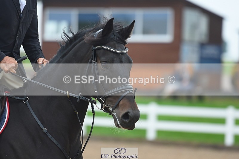 230916A-105750-03569 - Cls 21 British Novice & 90cm Open