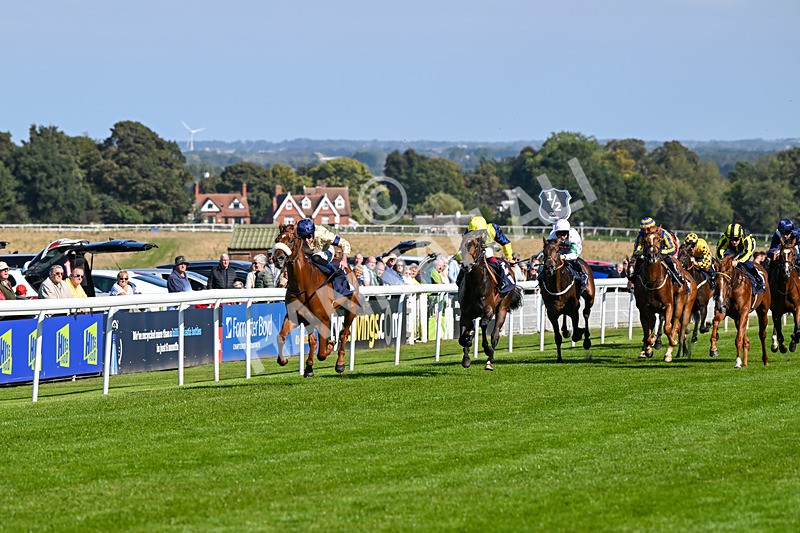 180924-Race 2-American Style-3928 - Race 2