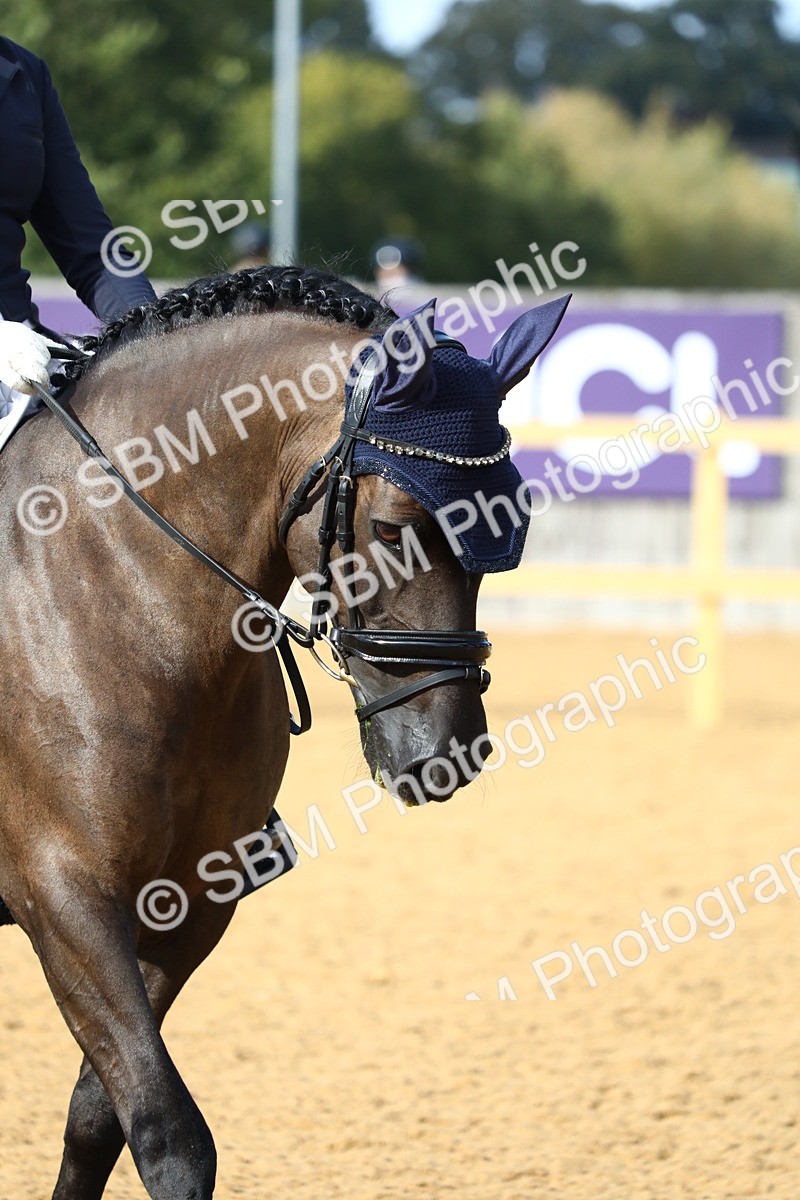 SBM_26810 - D11 - Small Tour Championship Prelim 1