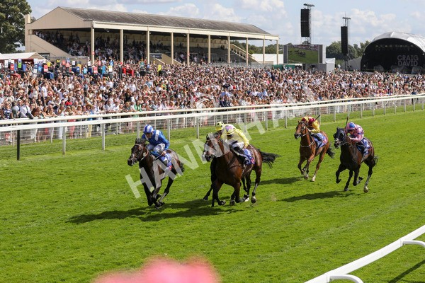 290723-Race 3-Alflaila-3848 - Race 3 3.15pm Sky Bet York Stakes (Group 2)