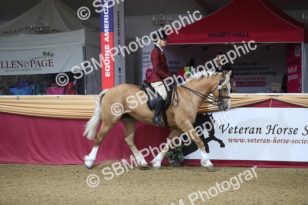 SBM_10303 - Class 102 Equitation (best rider) Adult
