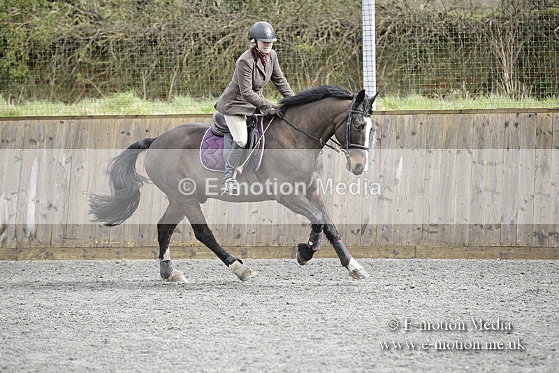 BVRC 050320 0343 - Bourne Valley riding Club Show Jumping Tidworth 08/03/20