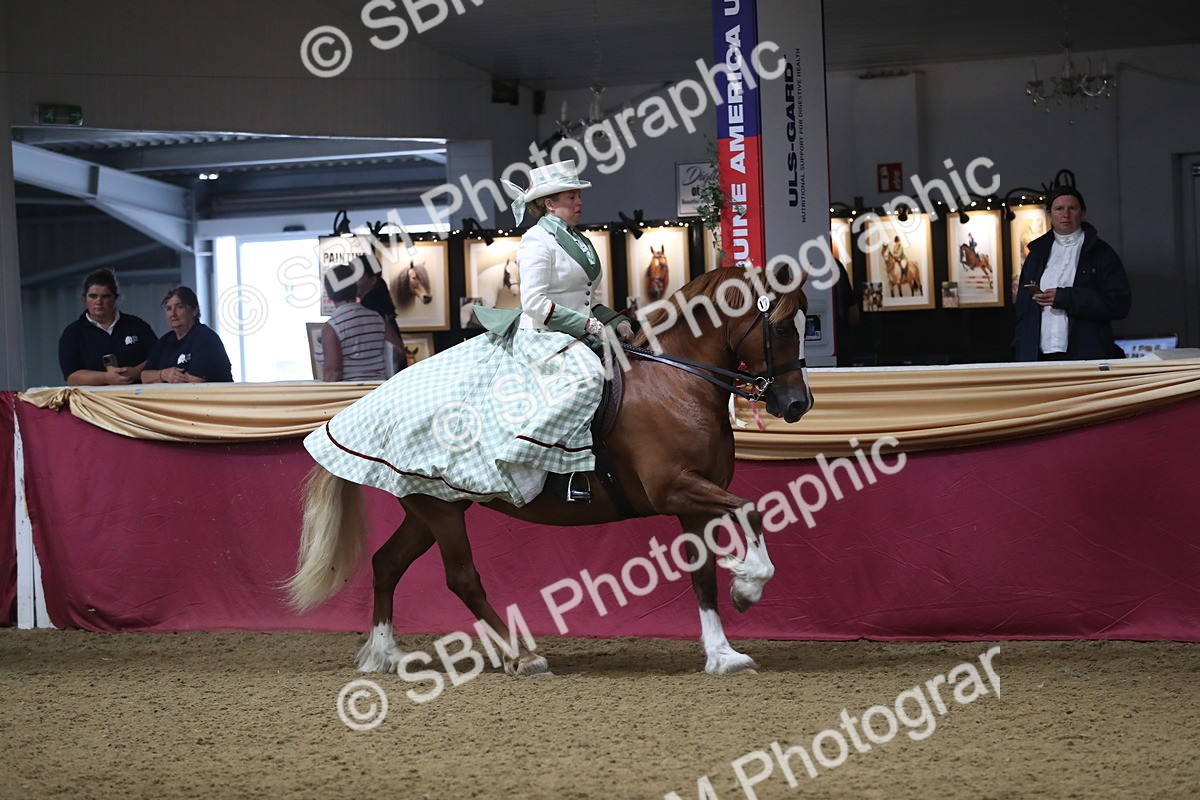 SBM_12002 - Class 106 Ridden Costume- Astride Adult (15-19)