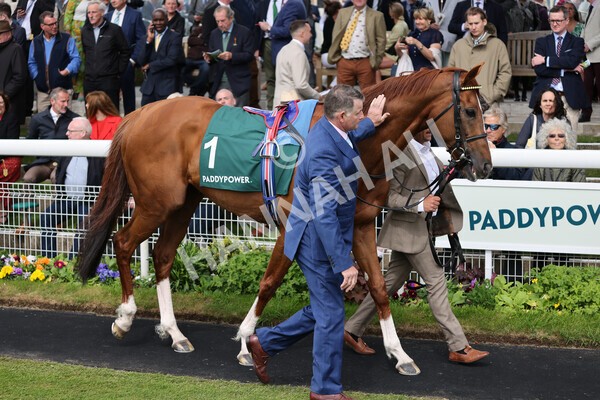 yr13052022r4-14 - Race 4 3.35pm The Paddy Power Yorkshire Cup (British Champions Series Race)