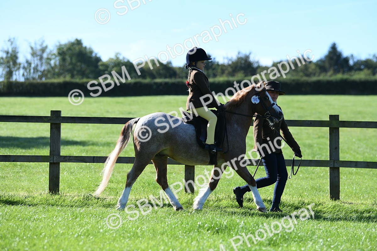 SBM_36706 - S18 - Novice & Newcomers Lead Rein Pony